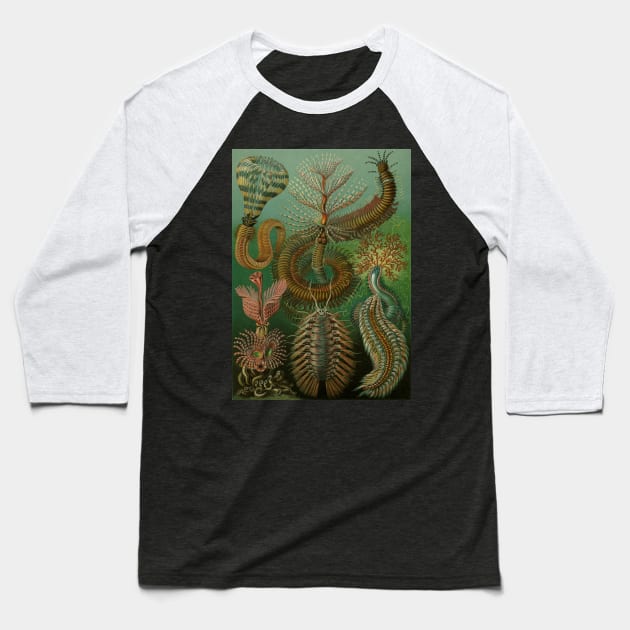 Annelids Chaetopoda by Ernst Haeckel Baseball T-Shirt by MasterpieceCafe